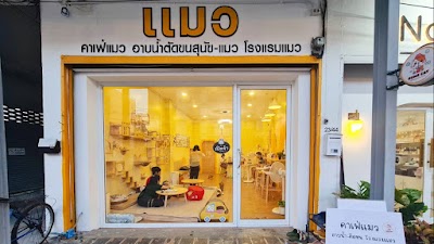 อาบน้ำ-ตัดขน(หมา&แมว) โรงแรมรับฝาก ราคาถูก คาเฟ่ Gume Cat Cafe